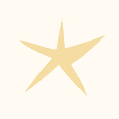 All Things Lilly Ann